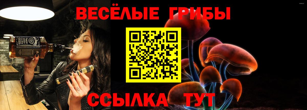 Псилоцибиновые грибы Psilocybine cubensis  Вход с VPN  Абинск 